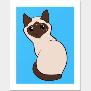 Shelter Cats - Siamese Posters and Art